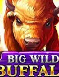 Big Wild Buffalo
